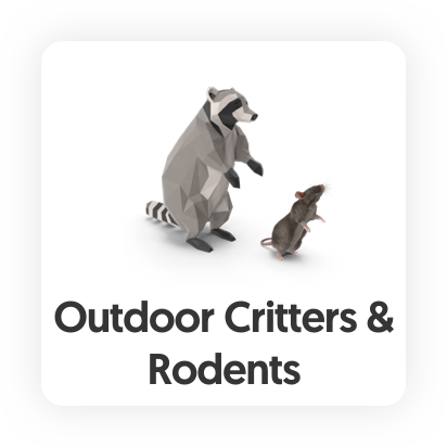Rodent Control, wildlife control